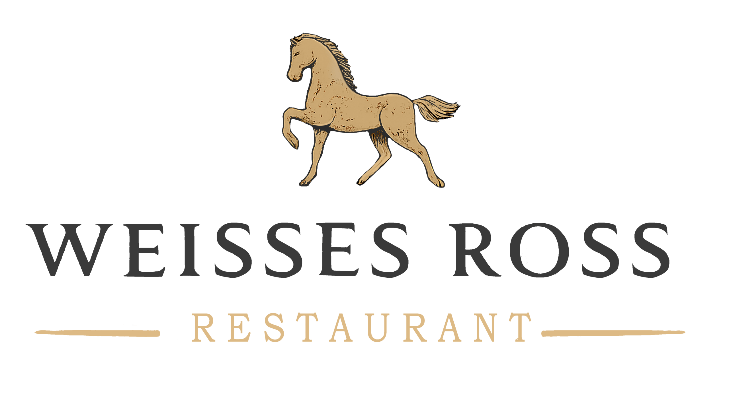 dark logo
